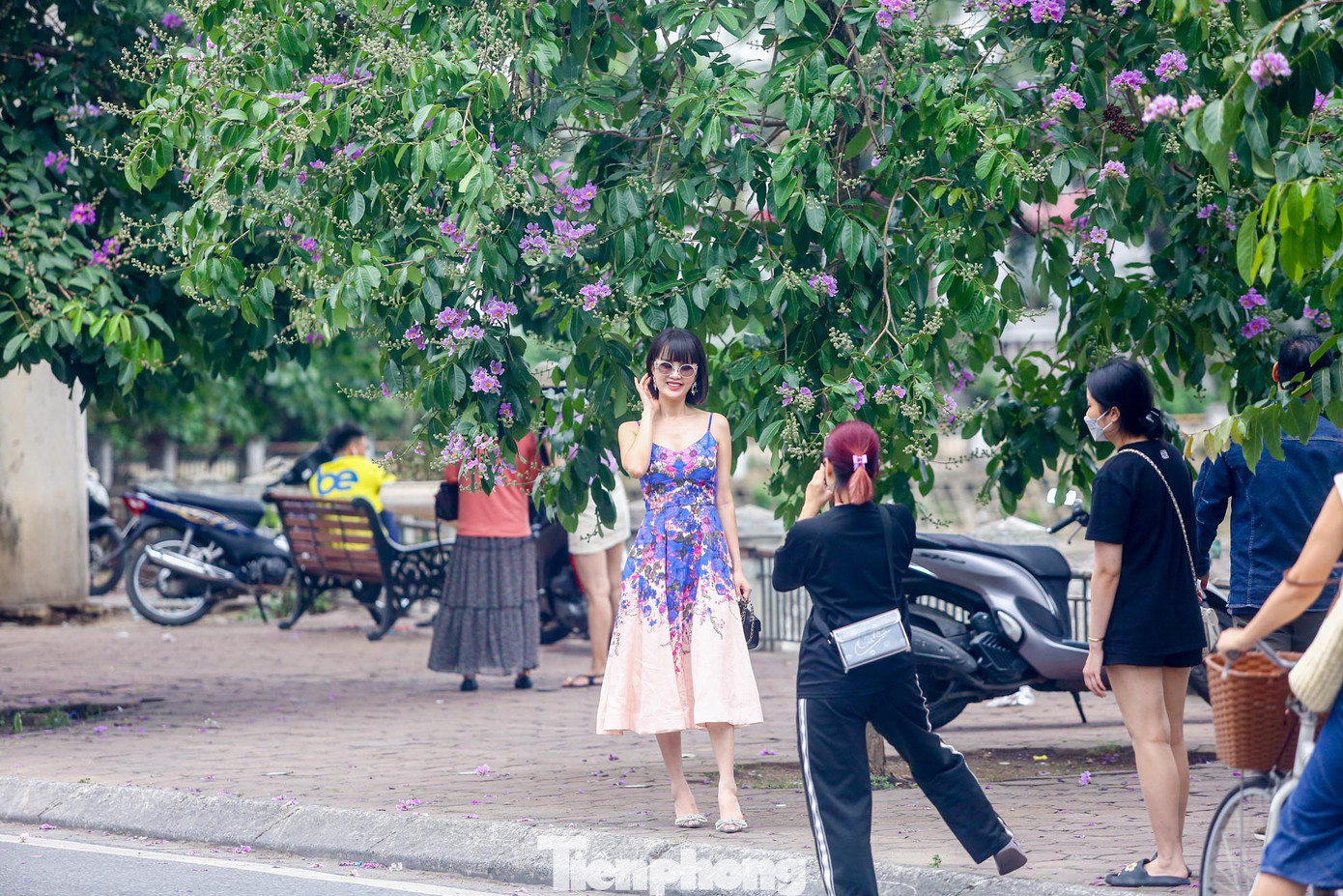 Những cây bằng lăng ở đây không quá cao và vỉa hè tương đối thoáng đãng nên thu hút nhiều "nàng thơ" đến chụp ảnh, mặc thời tiết oi bức.