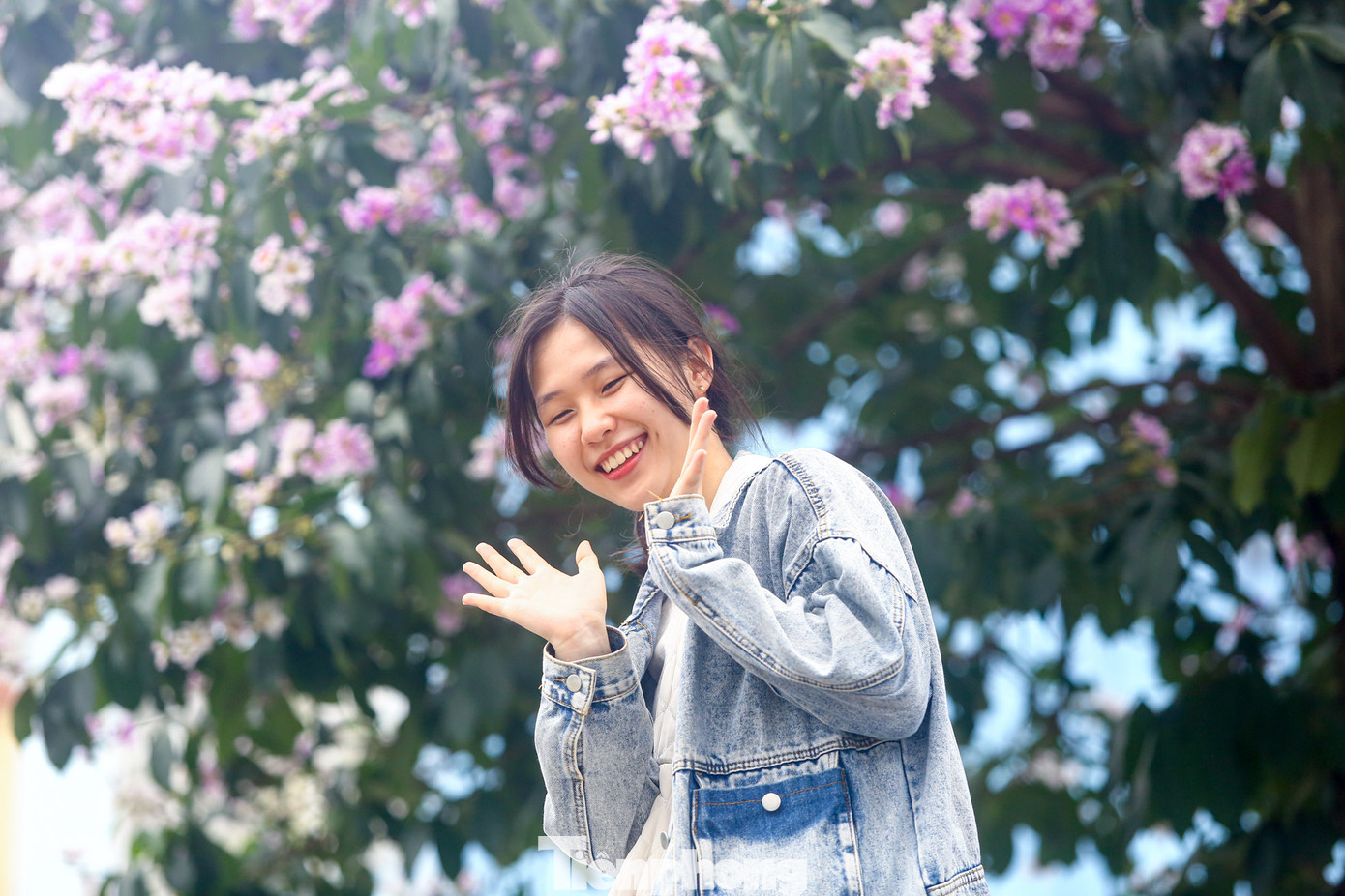 Các bạn trẻ ở đây cho biết, hàng cây ở đây nở rất đẹp, hoa rất dày và thấp nên dễ chụp ảnh. Qua mạng xã hội mọi người biết để tìm đến.