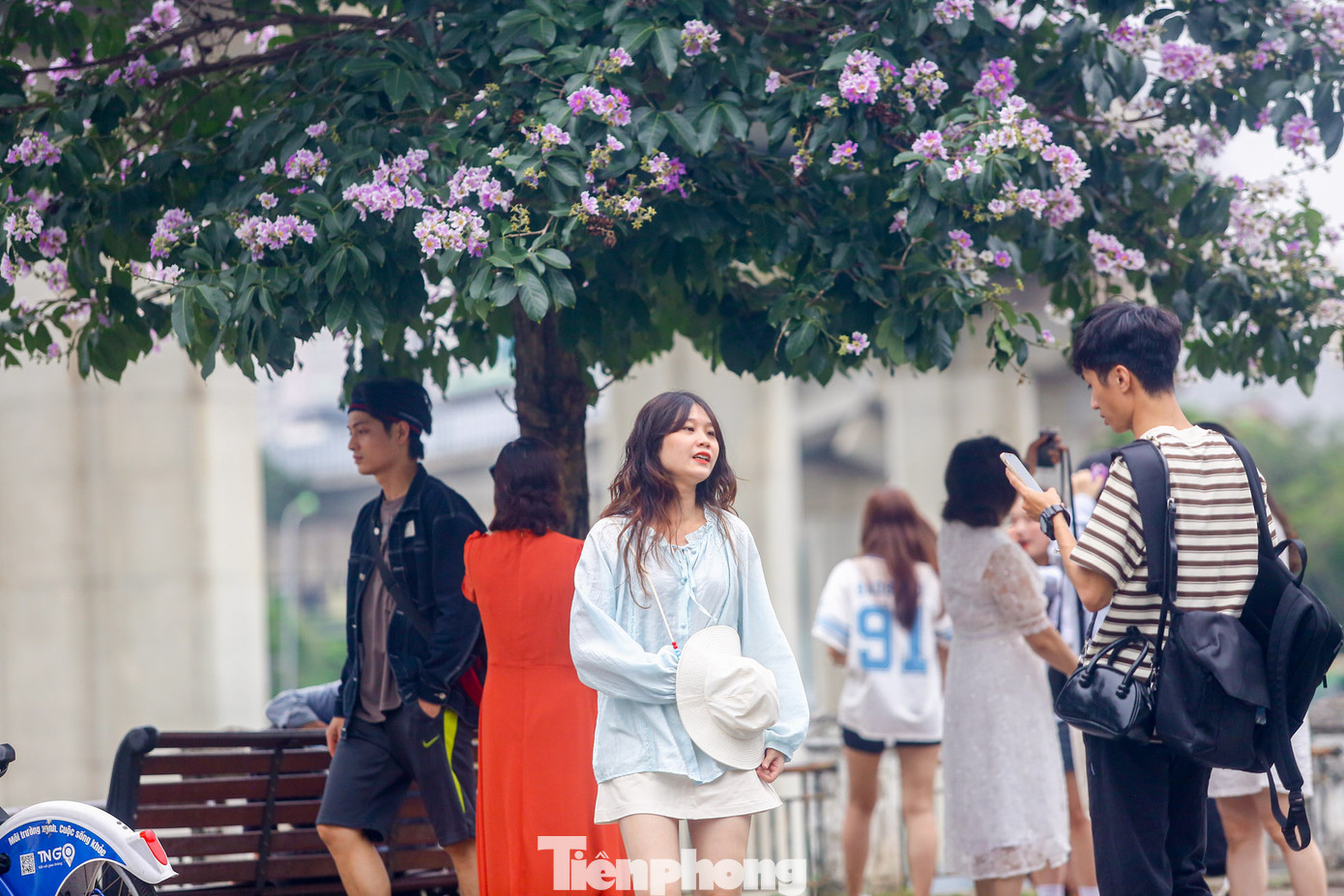 Những cây bằng lăng ở đây không quá cao và vỉa hè tương đối thoáng đãng nên thu hút nhiều "nàng thơ" đến chụp ảnh, mặc thời tiết oi bức.