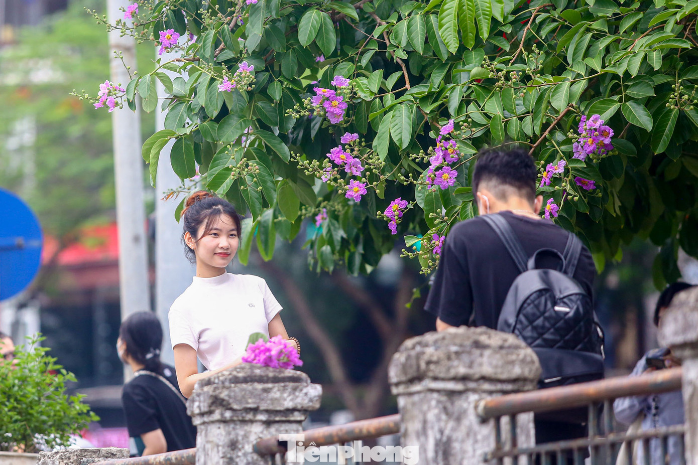 Các "nàng thơ" thả dáng chụp ảnh cùng hàng cây bằng lăng nổi tiếng nhất Hà Nội.