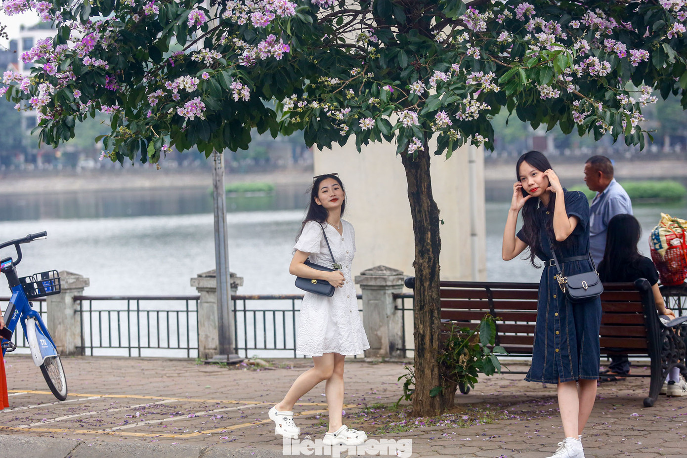 Chụp với hoa bằng lăng chỉ cần đơn giản, đứng cạnh bên hoa là có thể nổi bật.