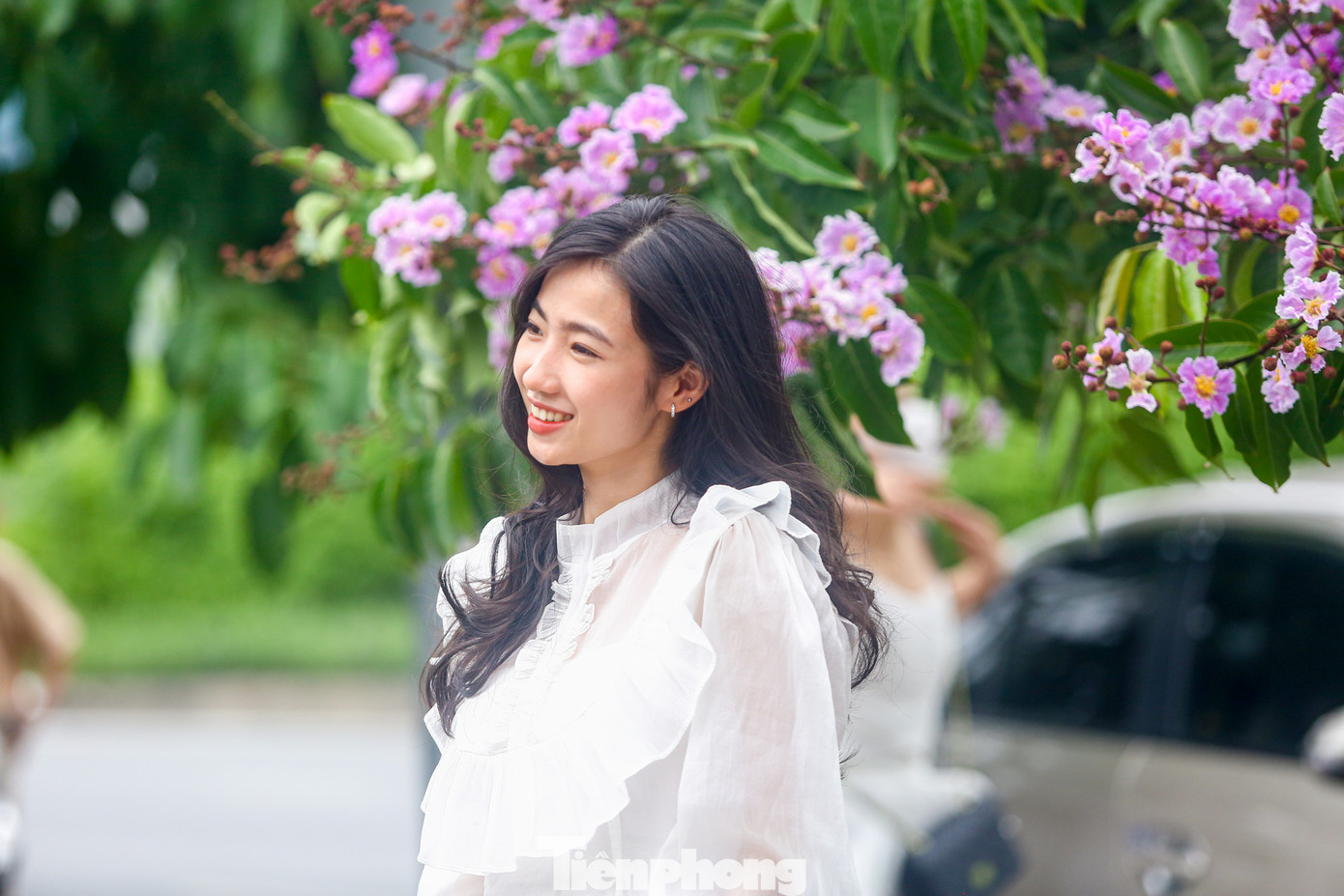 Bằng lăng được người Hà Nội coi là loài hoa báo hè vì khi nhìn thấy hoa bằng lăng là biết mùa hè đã thực sự tới.