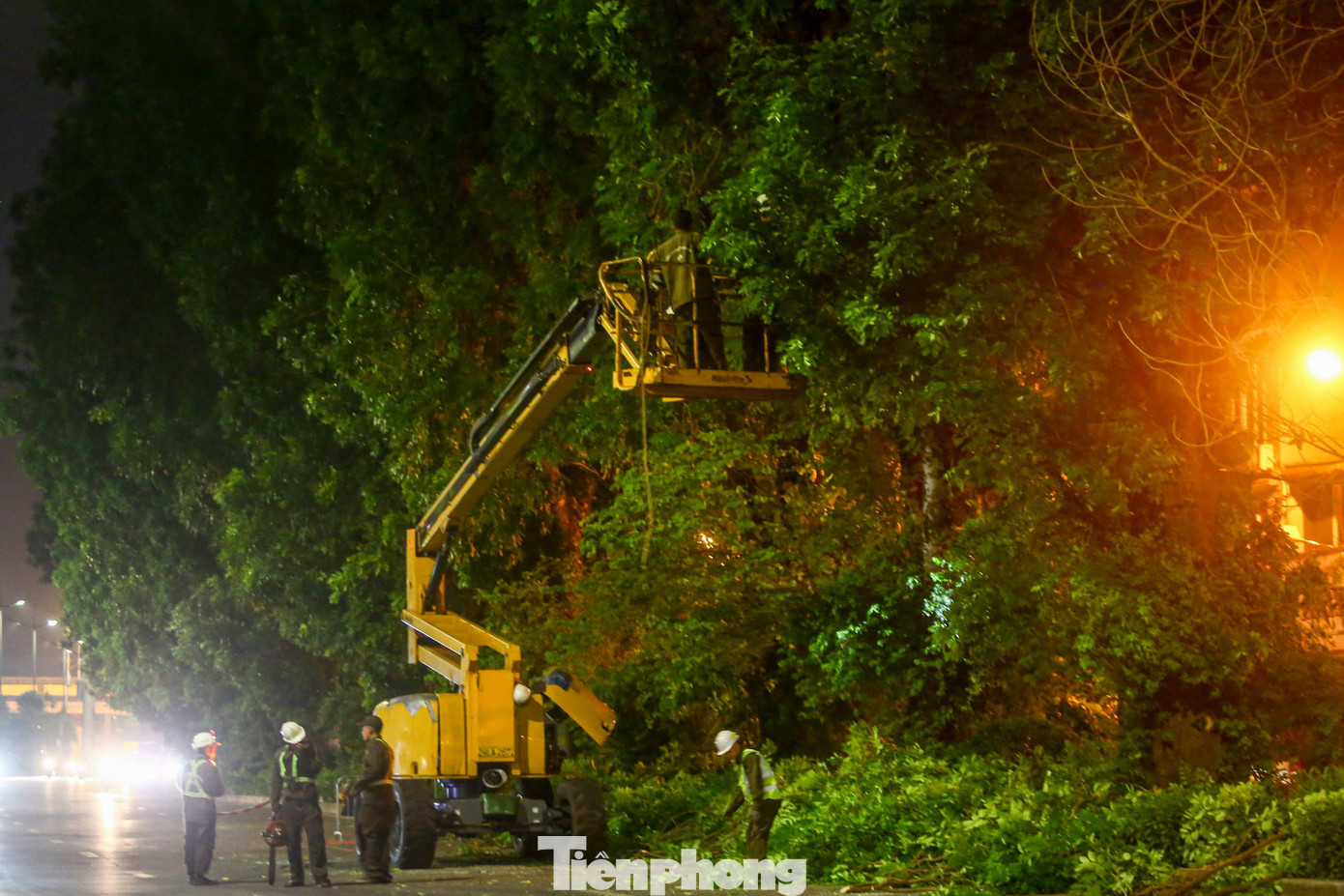 Đường Láng là tuyến đường có mật độ giao thông lớn, thường xuyên xảy ra ùn tắc nên việc thực hiện cắt tỉa, chăm sóc được thực hiện vào ban đêm.