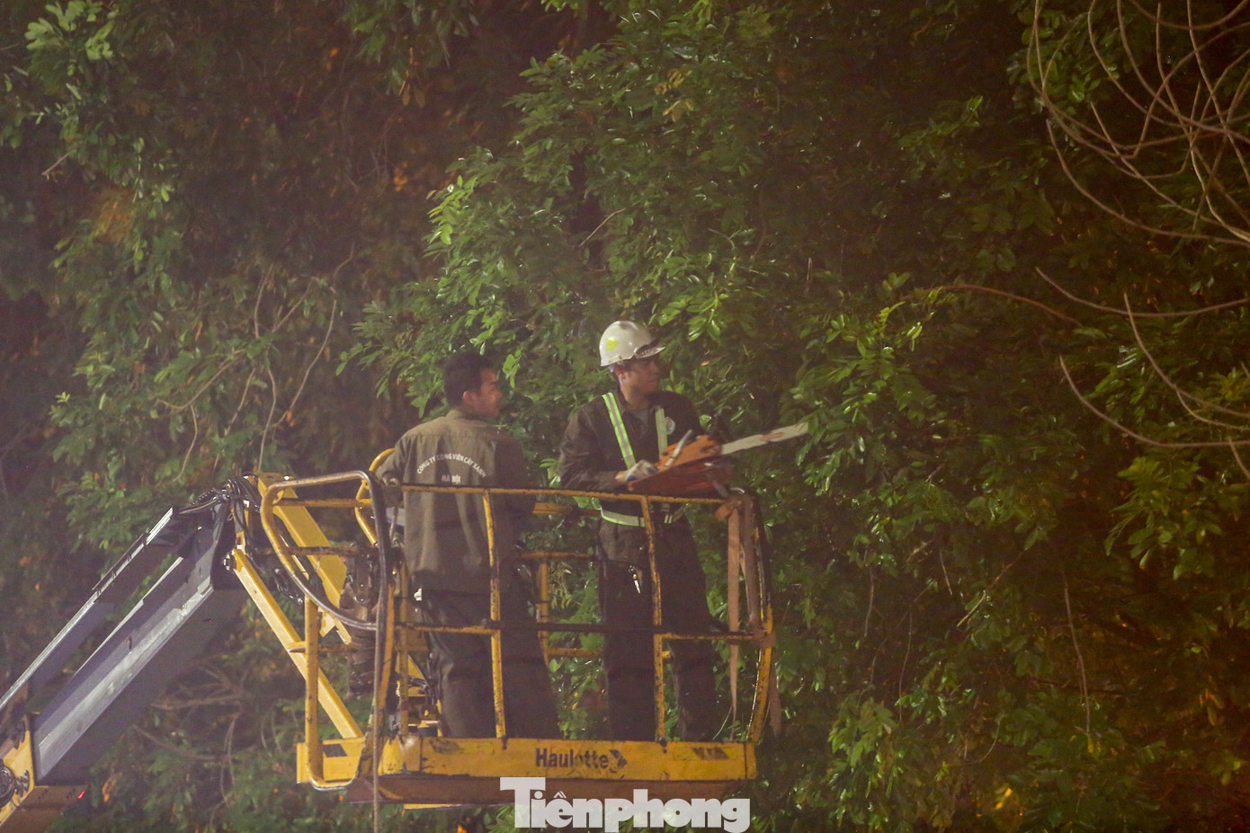 Việc thực hiện chăm sóc, cắt tỉa cành hàng cây xà cừ trên đường Láng được thực hiện xuyên đêm trong nhiều ngày liên tiếp nhằm đảm bảo an toàn, tránh nguy cơ ngã đổ khi gặp thời tiết xấu.