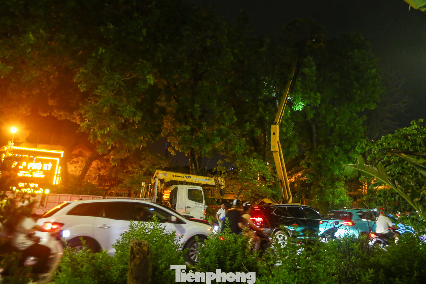 Ghi nhận của PV, để thực hiện chăm sóc cắt tỉa cành cây, hàng chục công nhân cùng hai xe chuyên dụng được sử dụng.