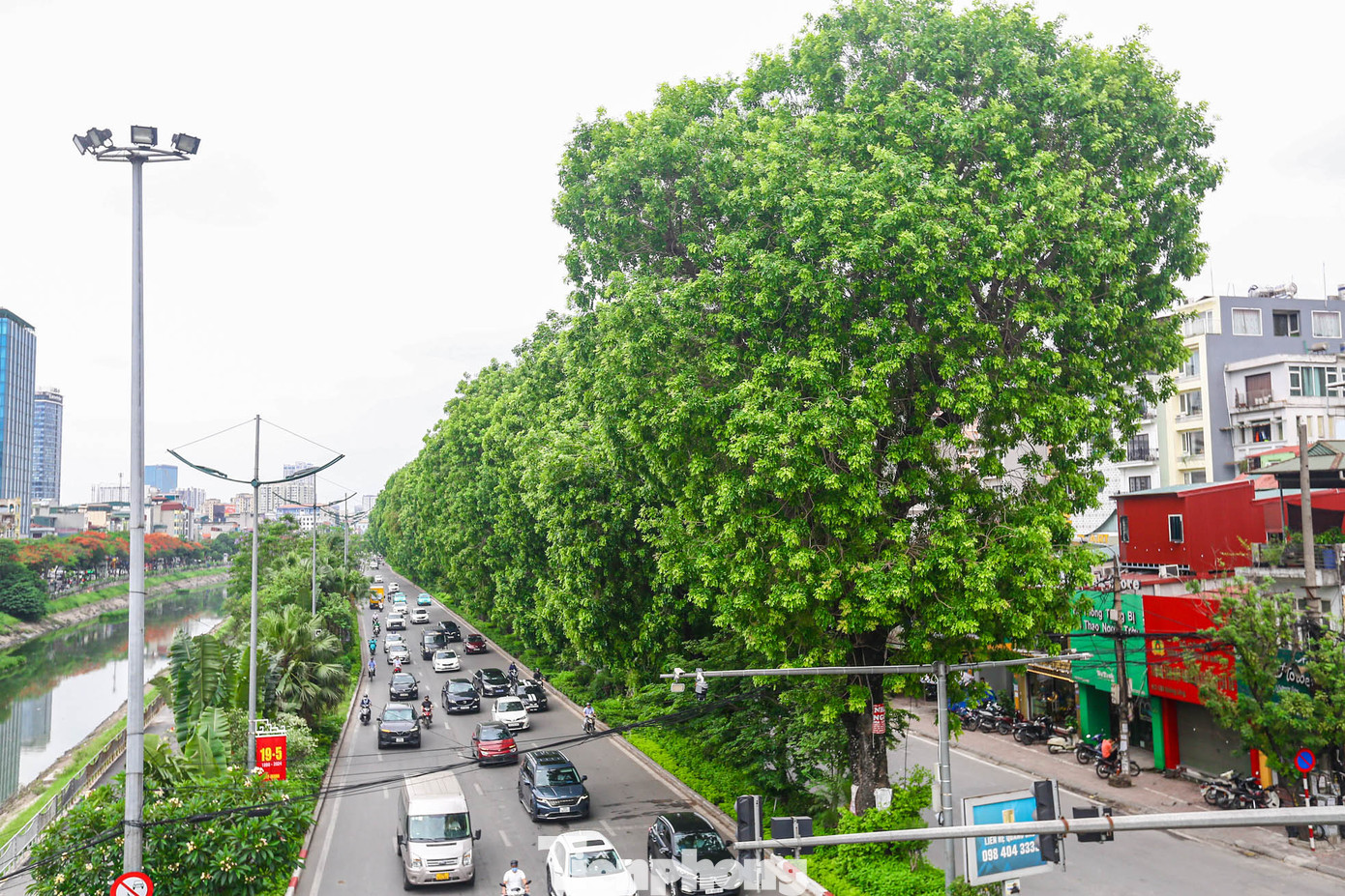 Hàng cây xà cừ tạo bóng mát cho những ngày nắng nóng cho các phương tiện lưu thông trên tuyến đường trên.