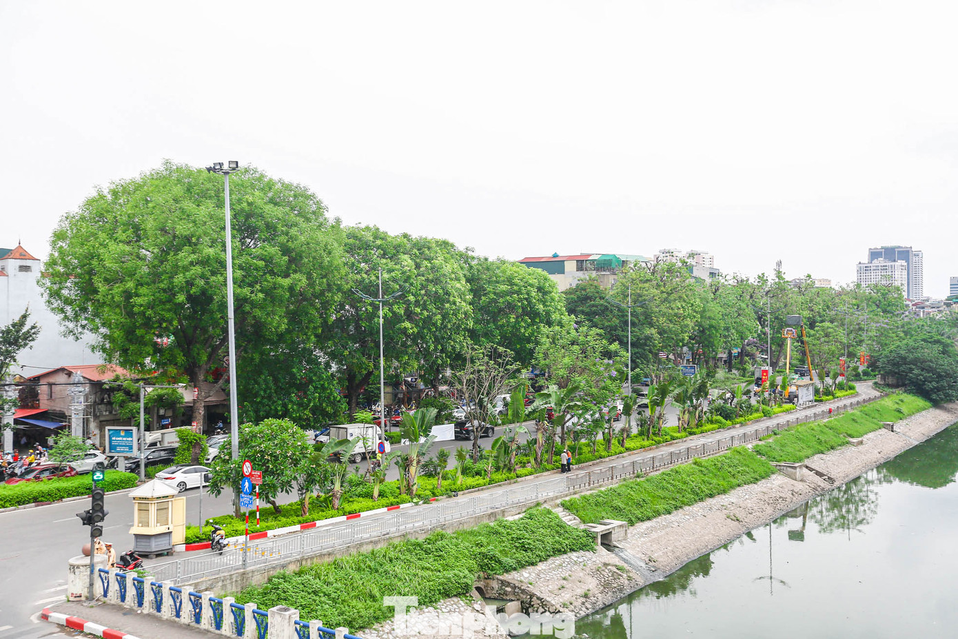 Hàng cây xà cừ tồn tại hàng chục năm đến nay gần như vẫn còn nguyên, mang lại vẻ đẹp độc nhất vô nhị ở Hà Nội mà hiếm có tuyến phố nào có được.