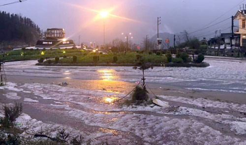 Mưa đá rơi trắng đường ở Sapa ảnh 1