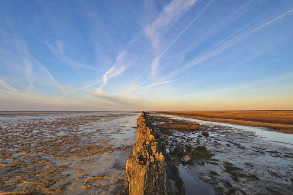 Nơi đây đã từng là một thương cảng sầm uất.