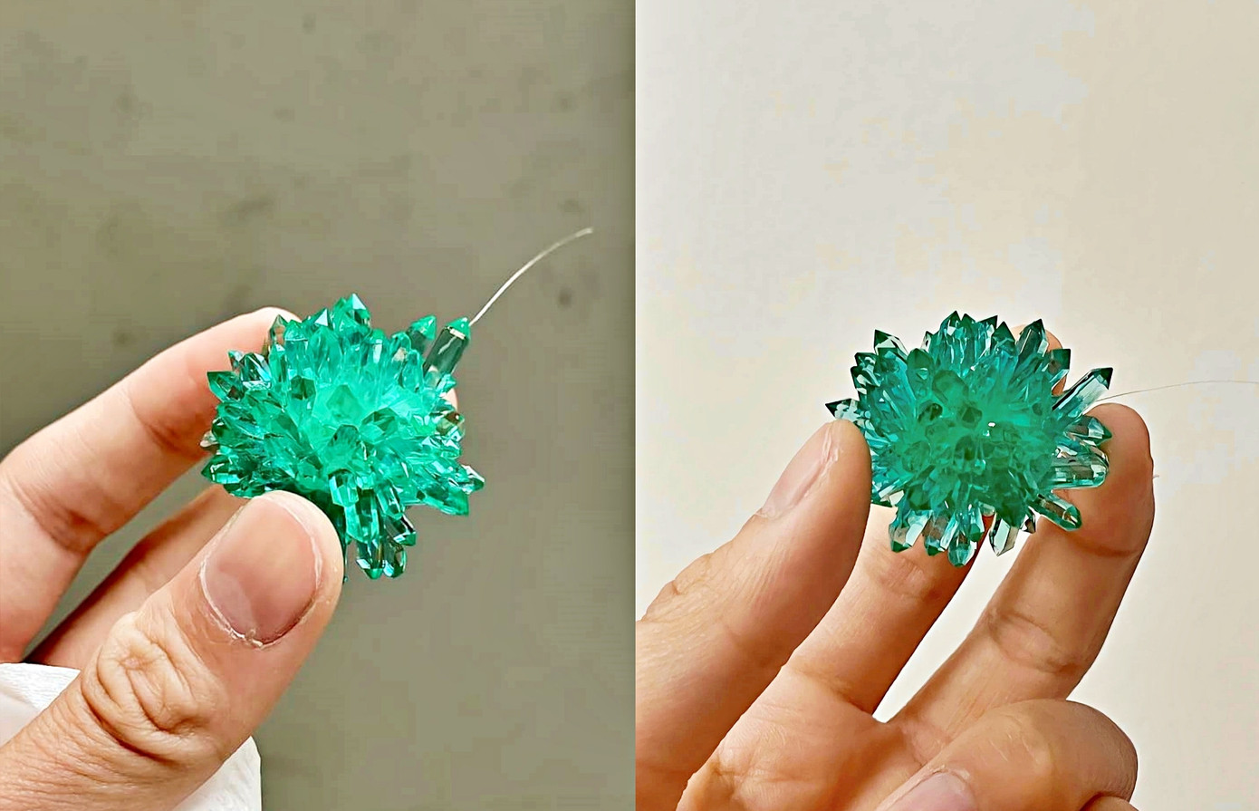 Hiện nay, thú chơi nuôi tinh thể đang thu hút nhiều người, đặc biệt là giới trẻ. Hiện nay, thú chơi nuôi tinh thể đang thu hút nhiều người, đặc biệt là giới trẻ.