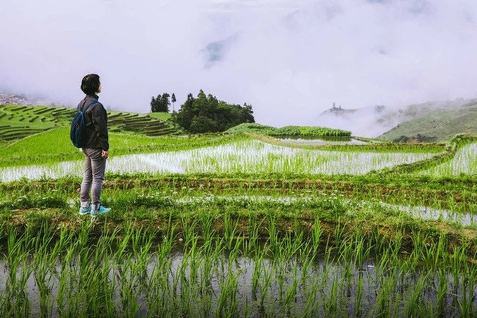 Nhiều người trẻ chấp nhận "bỏ phố về quê" với mong muốn có cuộc sống ổn định. (Ảnh: CNA).