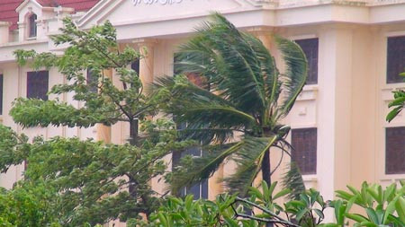 Gió cấp 5, cấp 6 do cơn bão số 5 gây ra tại Thái Bình. 