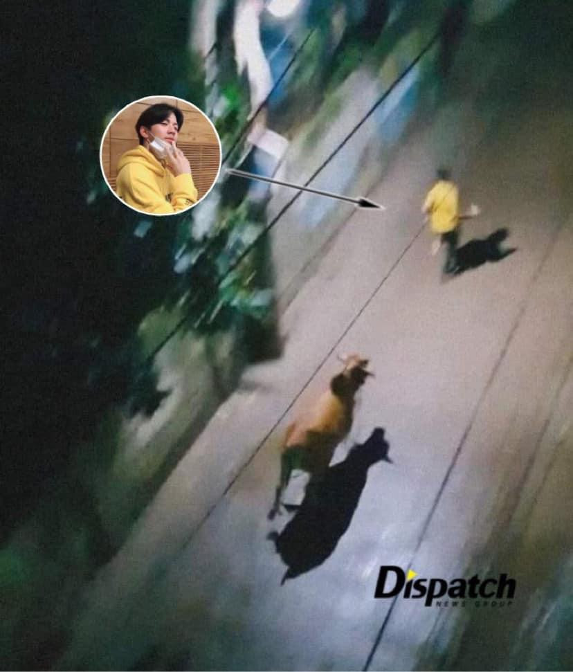 Trong trường hợp này của Dowoon (DAY6), có người lại cho rằng nó không hợp lí bởi bò phải bị... Dowoon rượt chứ bò nào dám rượt anh.