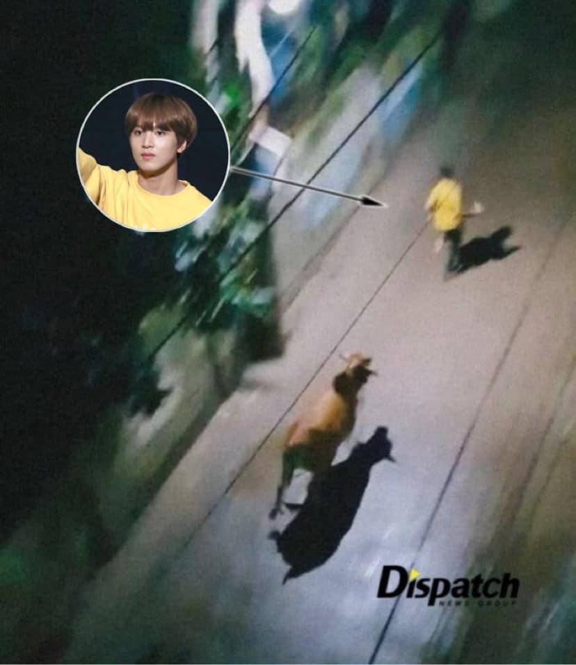 Haechan (NCT) hay chọc ghẹo anh em cũng bị fan réo tên với trend bò rượt này.