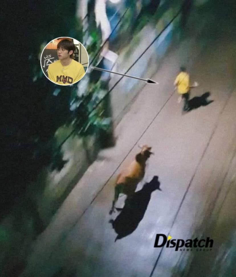 Sunwoo (THE BOYZ) cũng chịu chung cảnh làm "thú vui" cho fan.