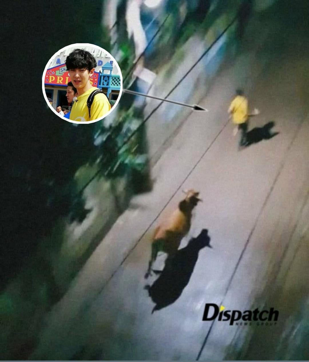 Chanyeol (EXO) đang nhập ngũ cũng bị fan kéo vào meme bò đuổi.