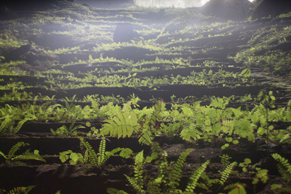 Kỳ quan Sơn Đoòng lên sóng truyền hình trực tiếp Mỹ ảnh 4