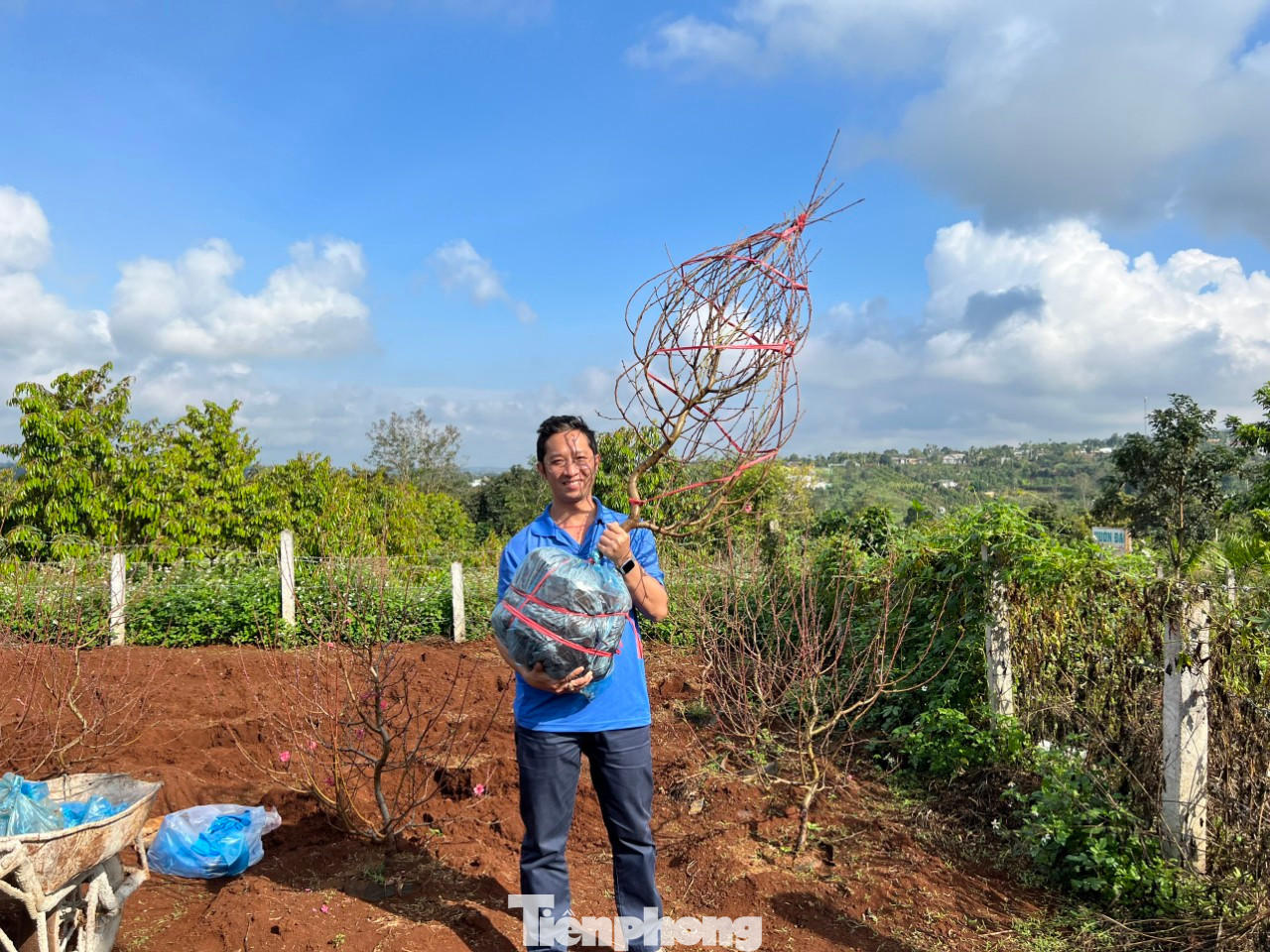 Đây là mô hình vườn đào thanh niên phường An Bình