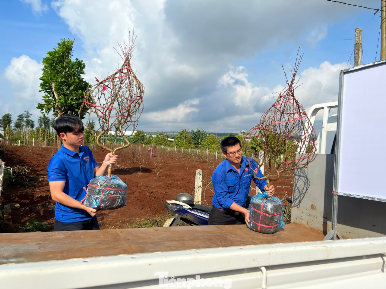 Chương trình sẽ bán tới chiều 30 Tết