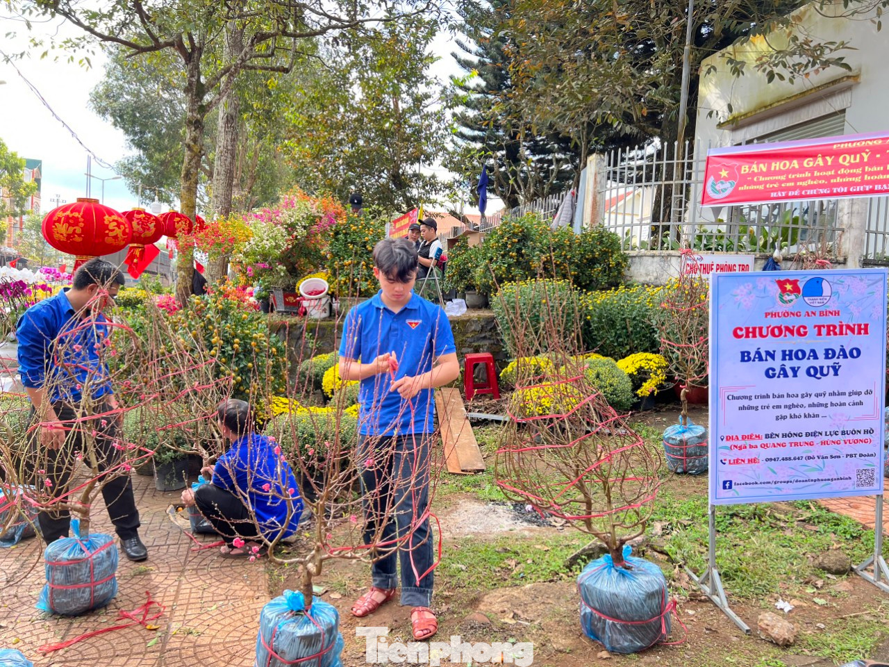 Chương trình bán hoa đào gây quỹ