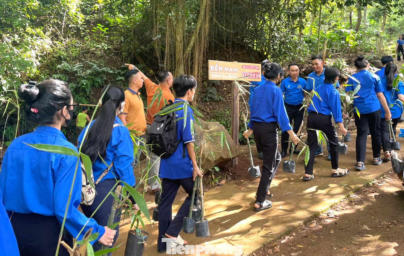 Đoàn viên, thanh niên, tình nguyện viên trồng cây tre đầu nguồn bến nước