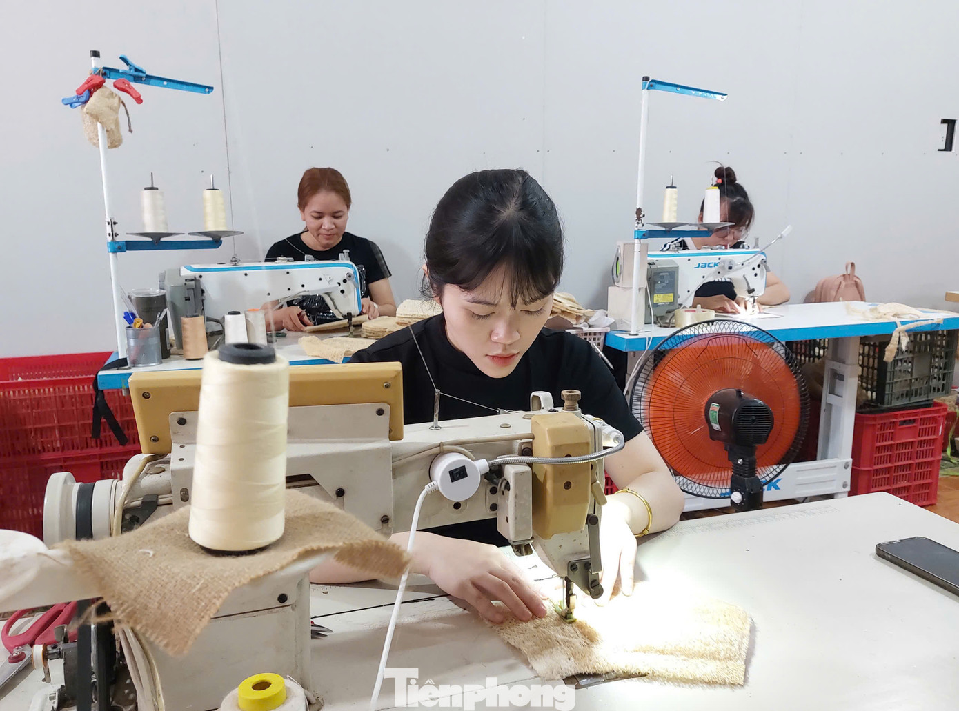 Hiện công ty còn tạo việc làm ổn định cho 14-15 lao động trẻ, là thanh niên trên địa bàn tỉnh, với mức lương từ 3-6 triệu đồng/tháng.