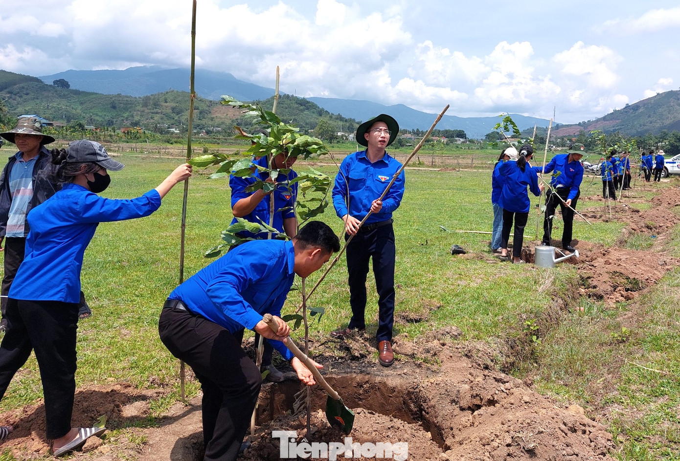 Các cơ sở đoàn trồng hàng nghìn cây xanh