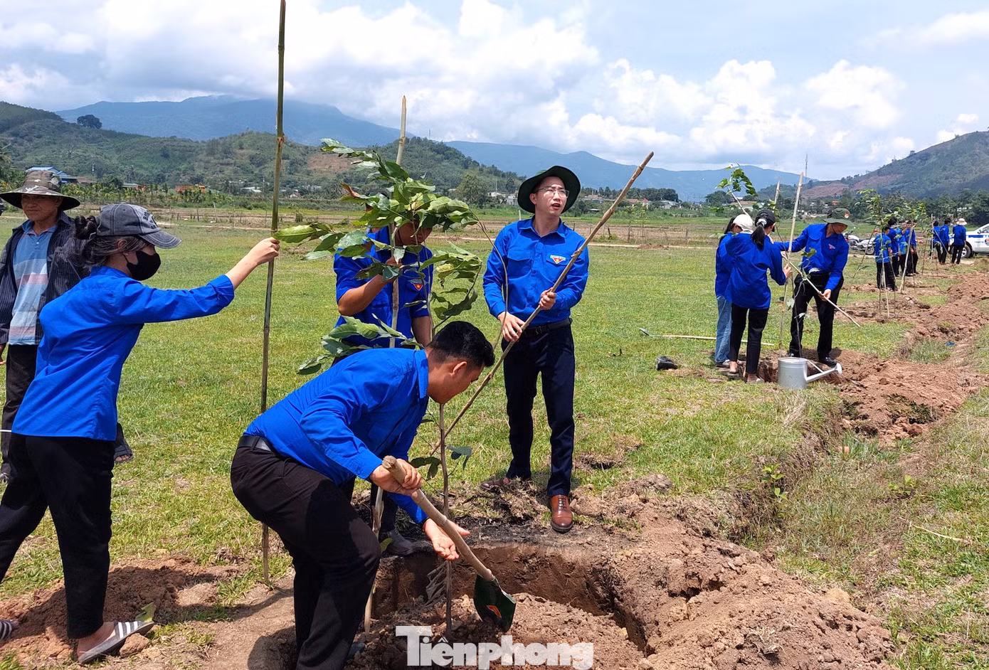 Các cơ sở đoàn trồng hàng nghìn cây xanh
