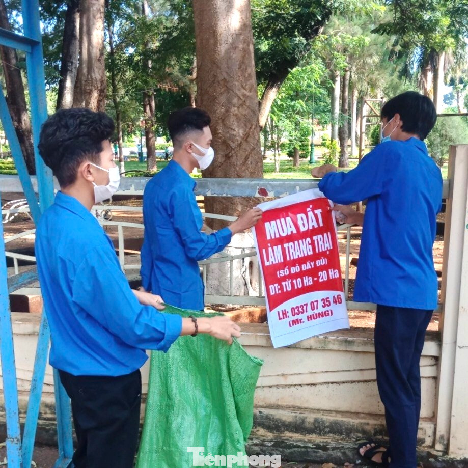 Đoàn viên thanh niên xoá bỏ các điểm quảng cáo, rao vặt