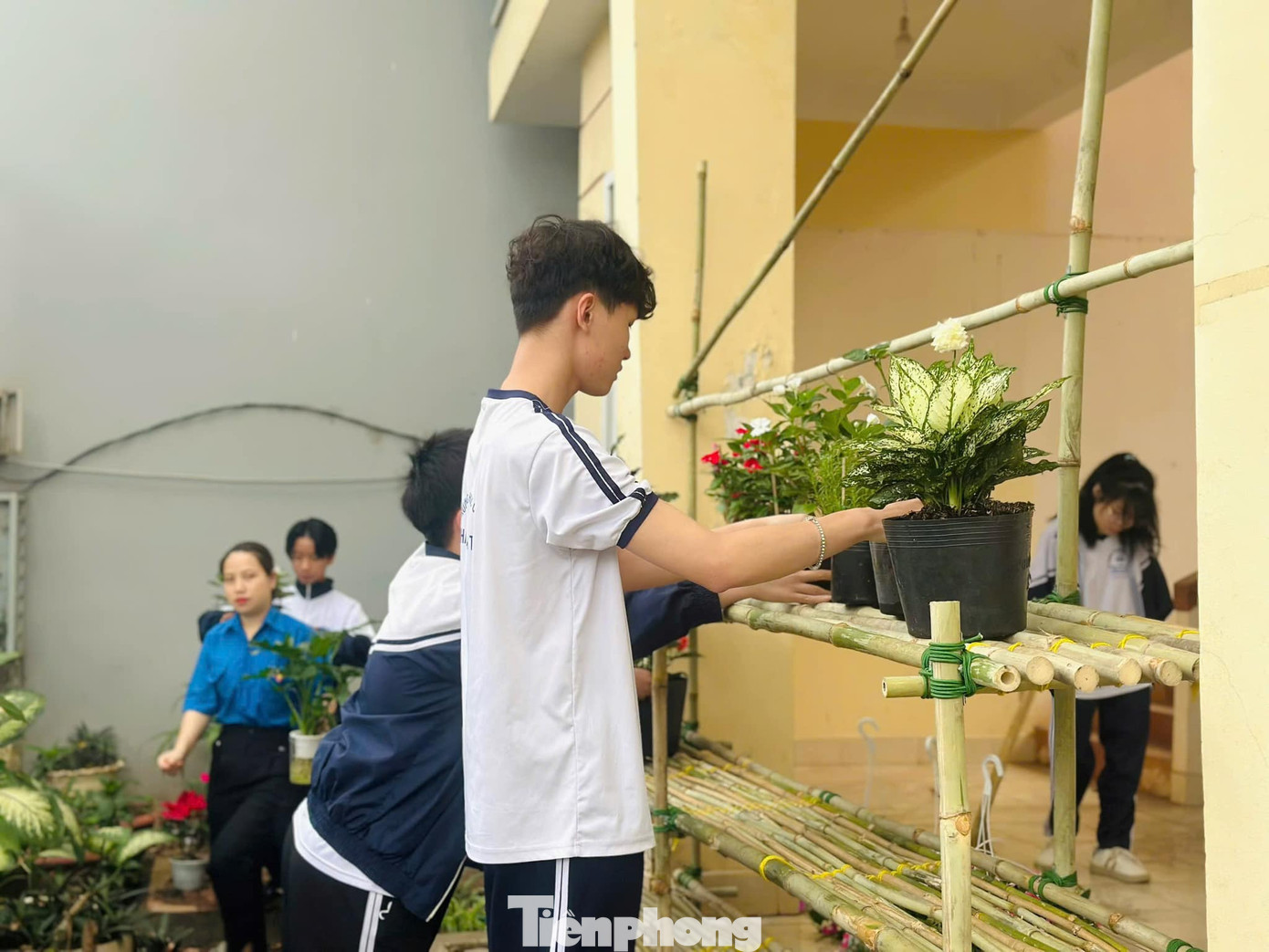 Công trình không chỉ mang giá trị thẩm mỹ mà còn lan tỏa thông điệp sống xanh, bảo vệ môi trường, khuyến khích người dân cùng chung tay gìn giữ cảnh quan đô thị. Qua đó, phát huy vai trò xung kích, tình nguyện, sự sáng tạo của thanh niên trong công tác chuyển đổi số, bảo vệ môi trường.