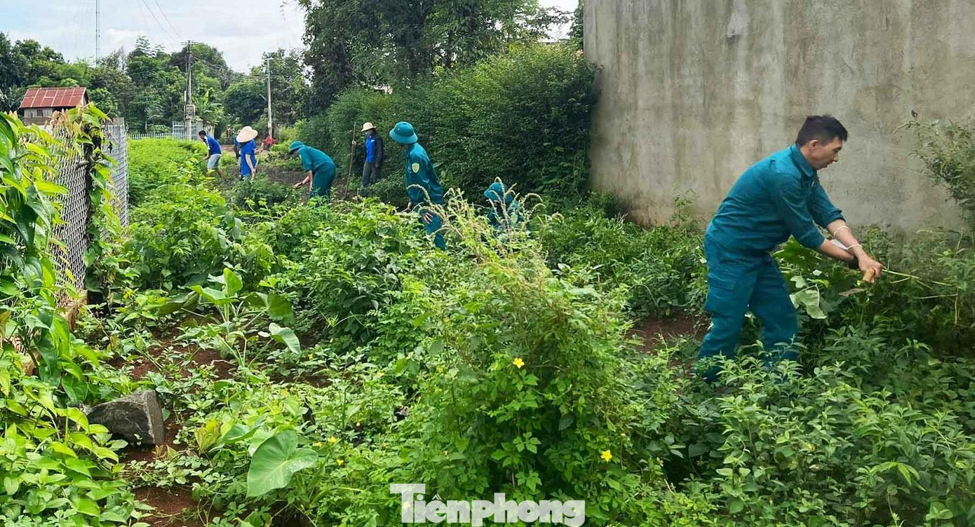 Tuổi trẻ thành phố Buôn Ma Thuột phát quang bụi rậm