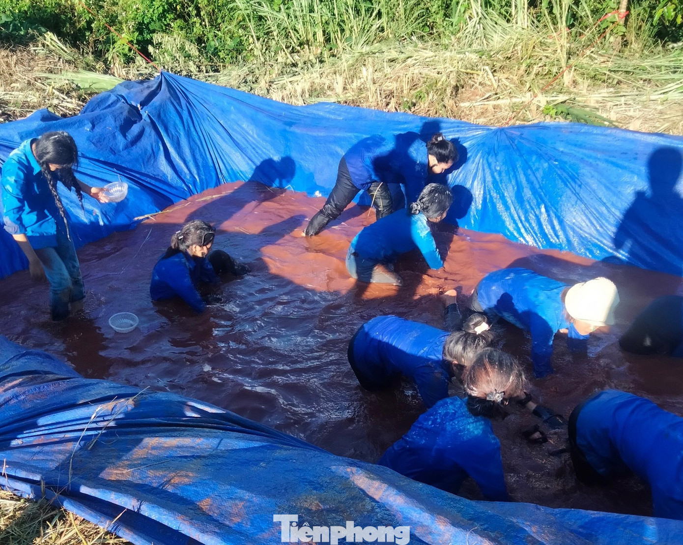 Đoàn viên thanh niên trải nghiệm tìm kho báu dưới nước. Đoàn viên thanh niên trải nghiệm tìm kho báu dưới nước.