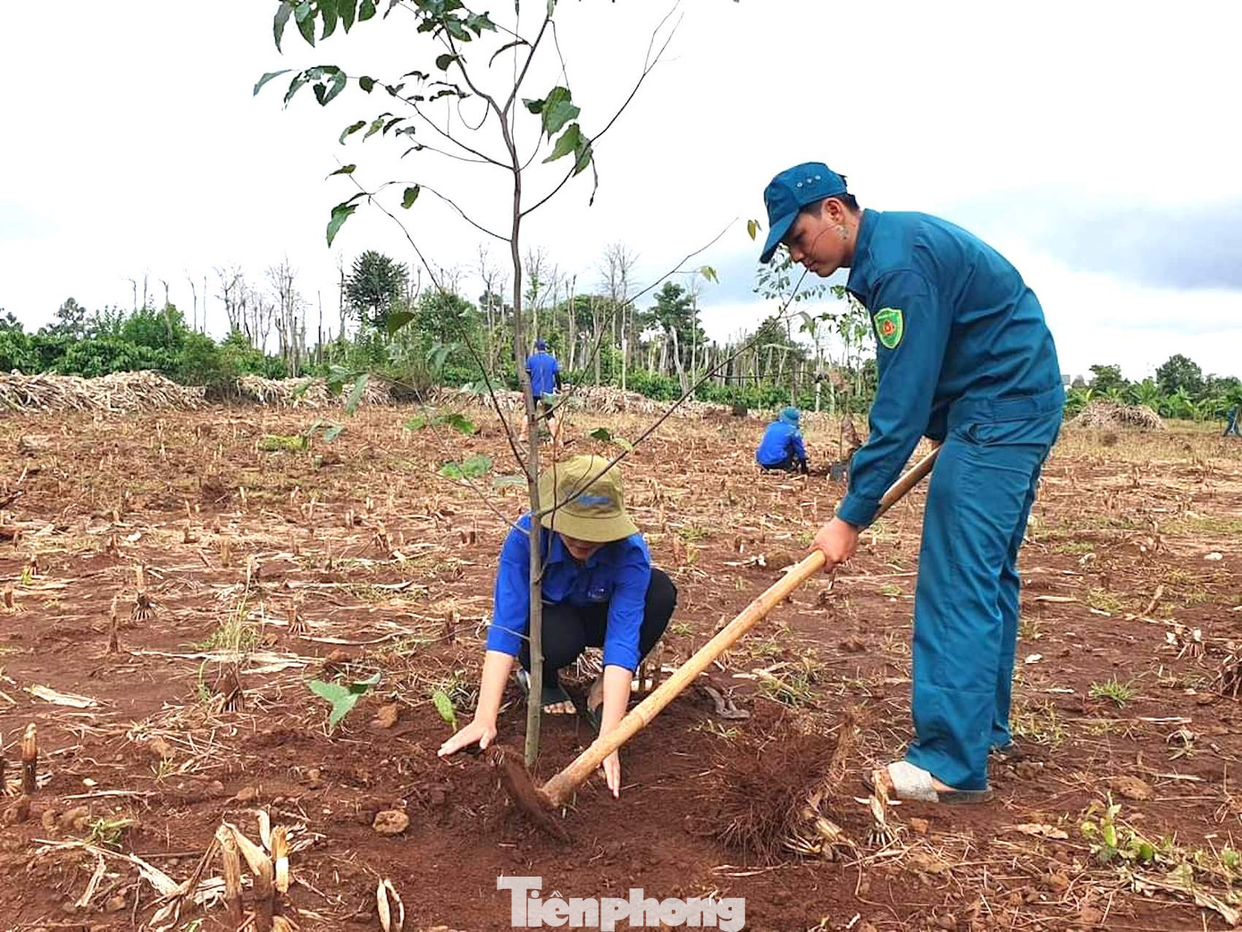 Nhiều hoạt động của thanh niên trên địa bàn