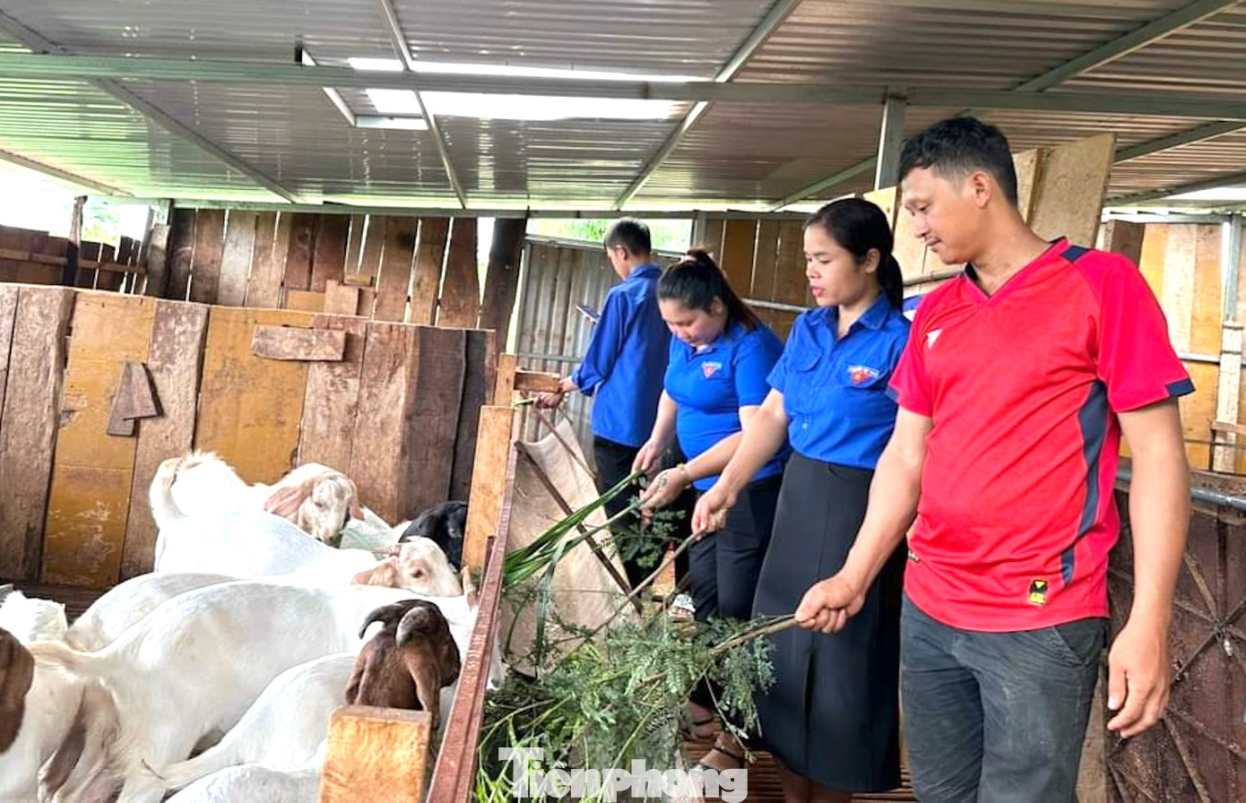 Nhiều mô hình khởi nghiệp của thanh niên trên địa bàn huyện Cư M'gar
