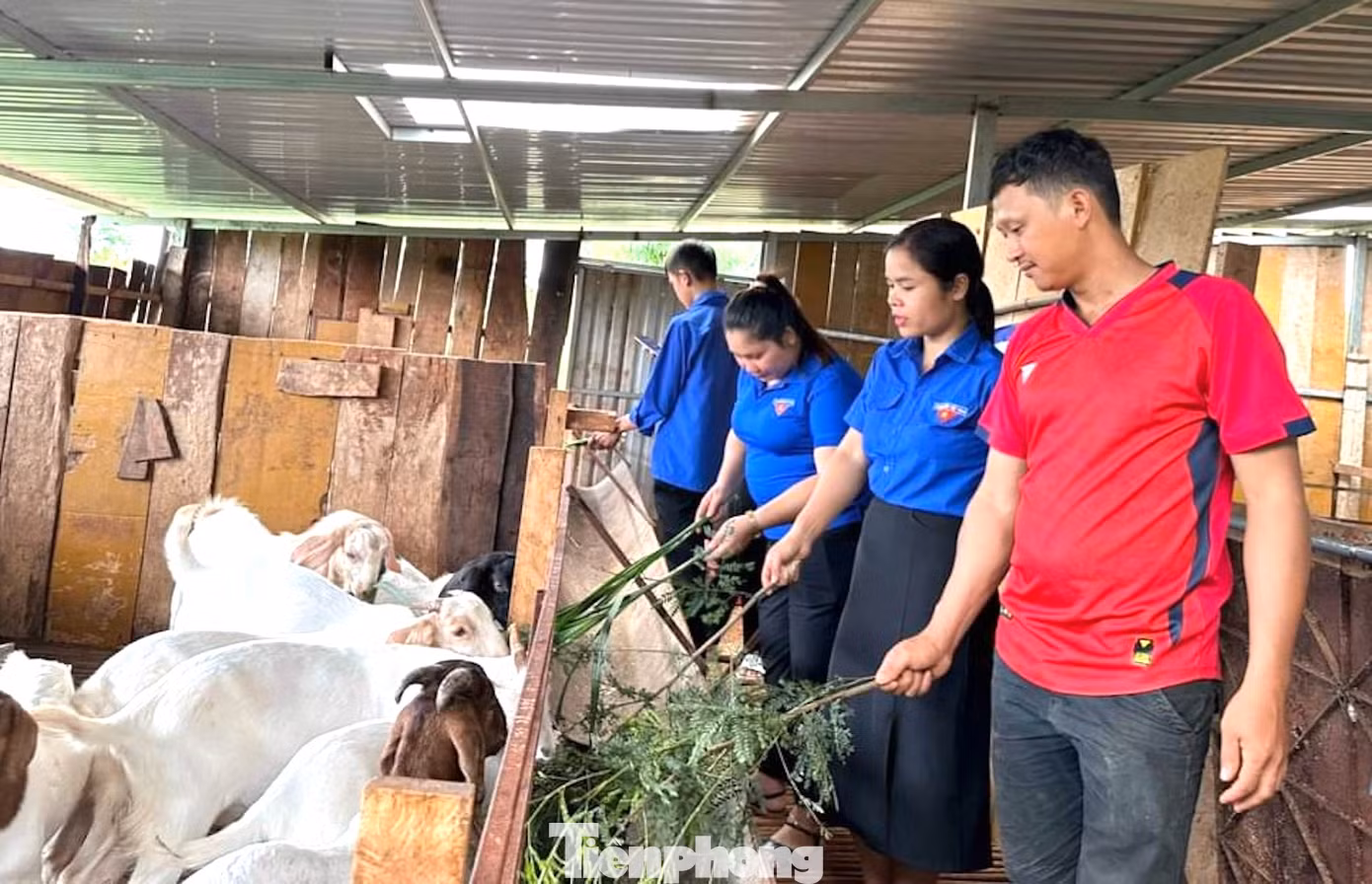 Nhiều mô hình khởi nghiệp của thanh niên trên địa bàn huyện Cư M'gar