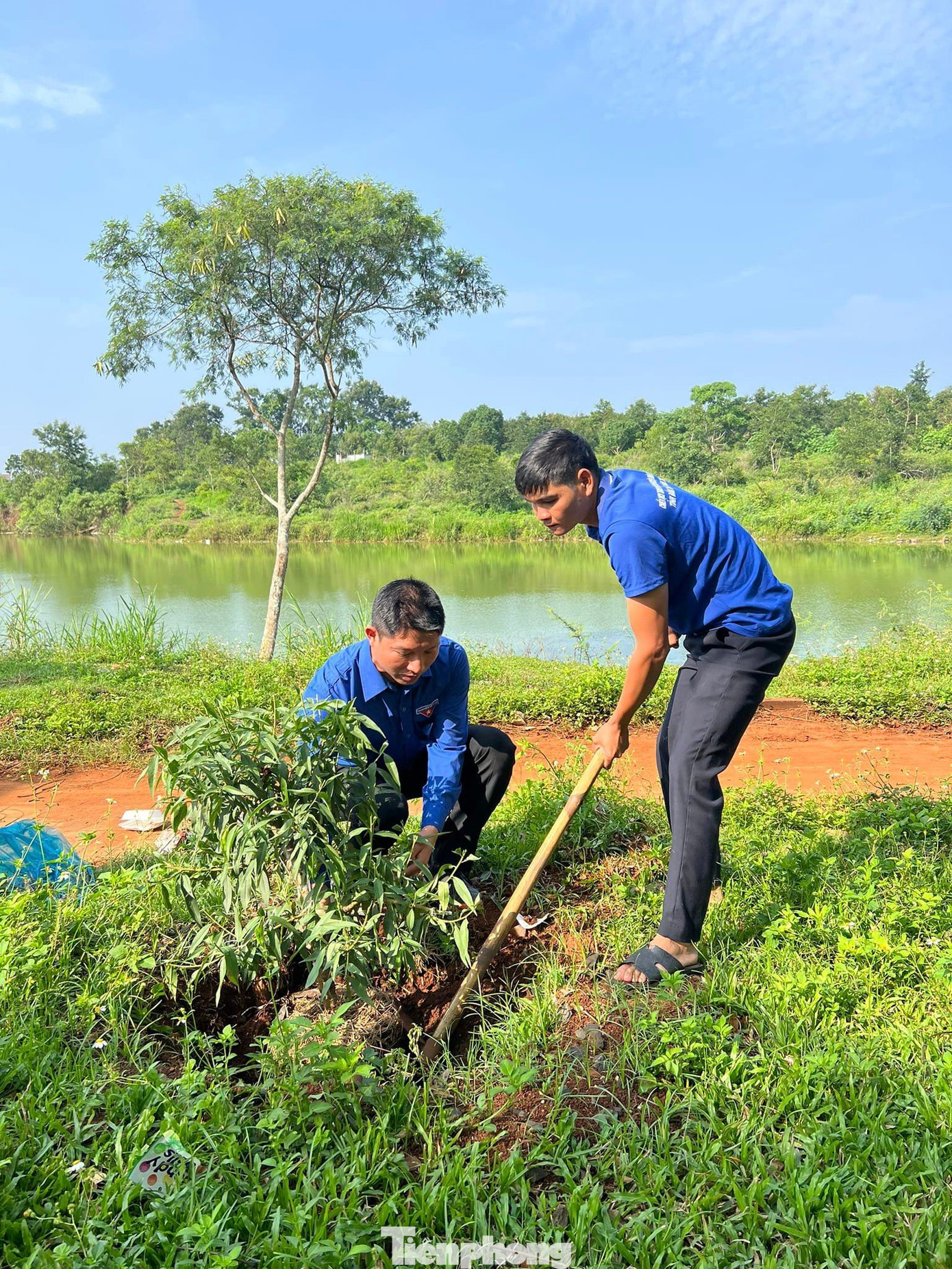 Đoàn thanh niên tham gia trồng 90 cây đào Đoàn thanh niên tham gia trồng 90 cây đào