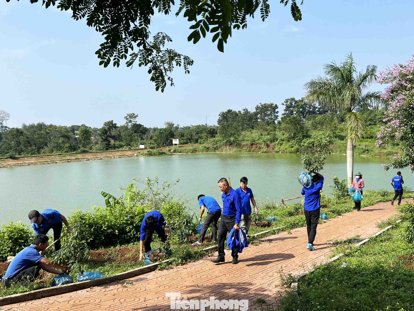 Đoàn viên thanh niên tham gia trồng hoa đào Đoàn viên thanh niên tham gia trồng hoa đào