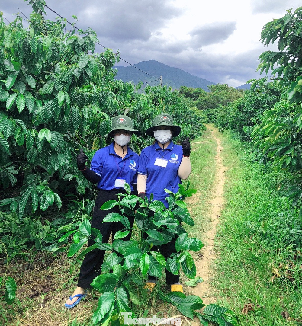 Ông Dư chia sẻ, bà con rất vui mừng vì có các bạn trẻ tình nguyện về làm giúp. Thanh niên có sức khỏe, nên làm việc gì cũng nhanh nhẹn, hiệu quả.
