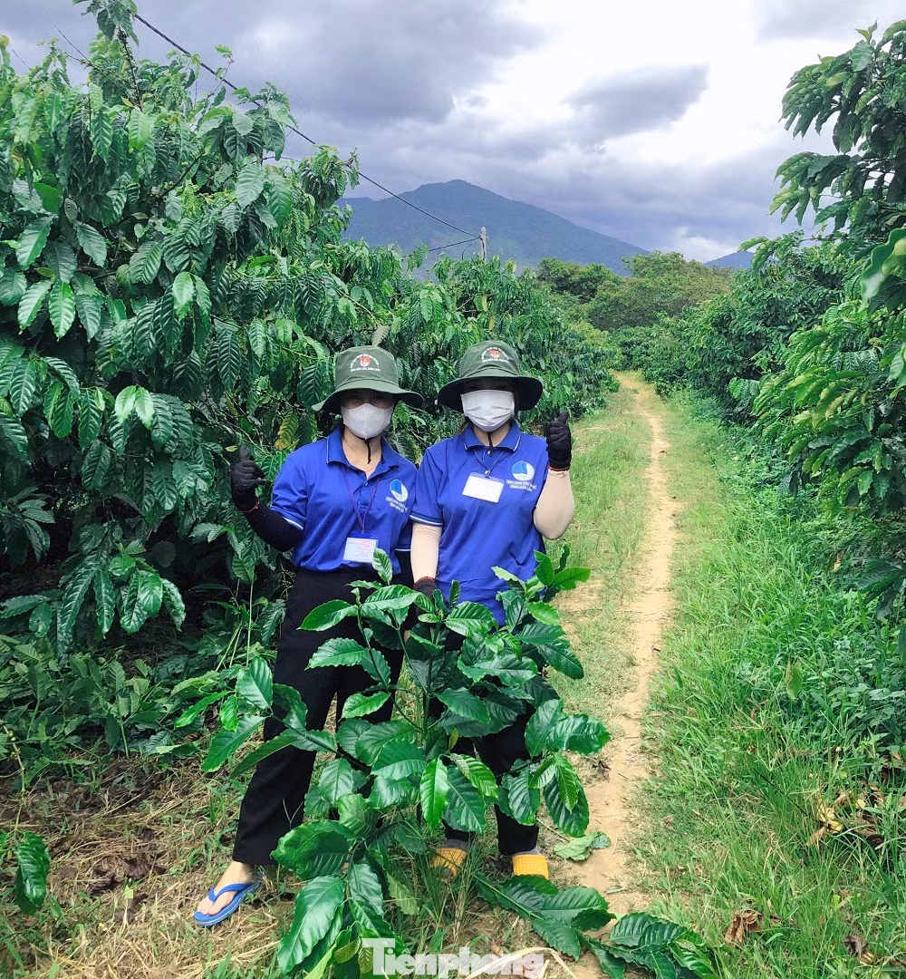 Ông Dư chia sẻ, bà con rất vui mừng vì có các bạn trẻ tình nguyện về làm giúp. Thanh niên có sức khỏe, nên làm việc gì cũng nhanh nhẹn, hiệu quả.