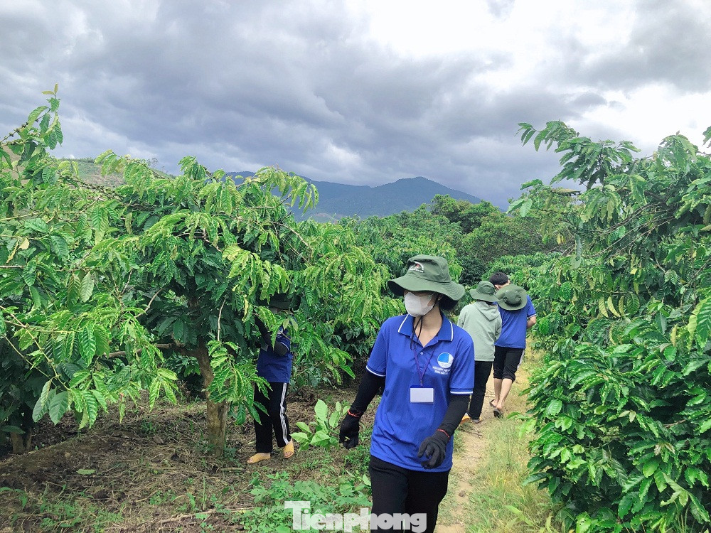 Những ngày hè nơi đại ngàn Tây Nguyên là cái nắng oi nồng và những cơn mưa rào bất chợt, nhưng không ngăn được nhiệt huyết của các thanh niên tình nguyện.