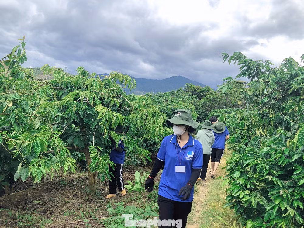 Những ngày hè nơi đại ngàn Tây Nguyên là cái nắng oi nồng và những cơn mưa rào bất chợt, nhưng không ngăn được nhiệt huyết của các thanh niên tình nguyện.