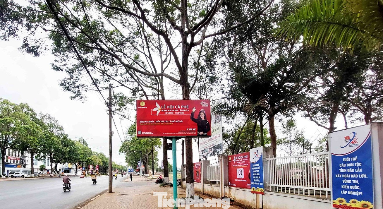 Tuyến đường trước trụ sở Tỉnh Đoàn là một trong những địa điểm diễn ra lễ hội đường phố.