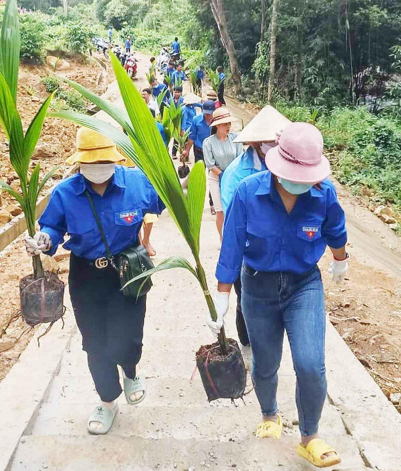Đoàn thanh niên ra quân trồng cây xanh