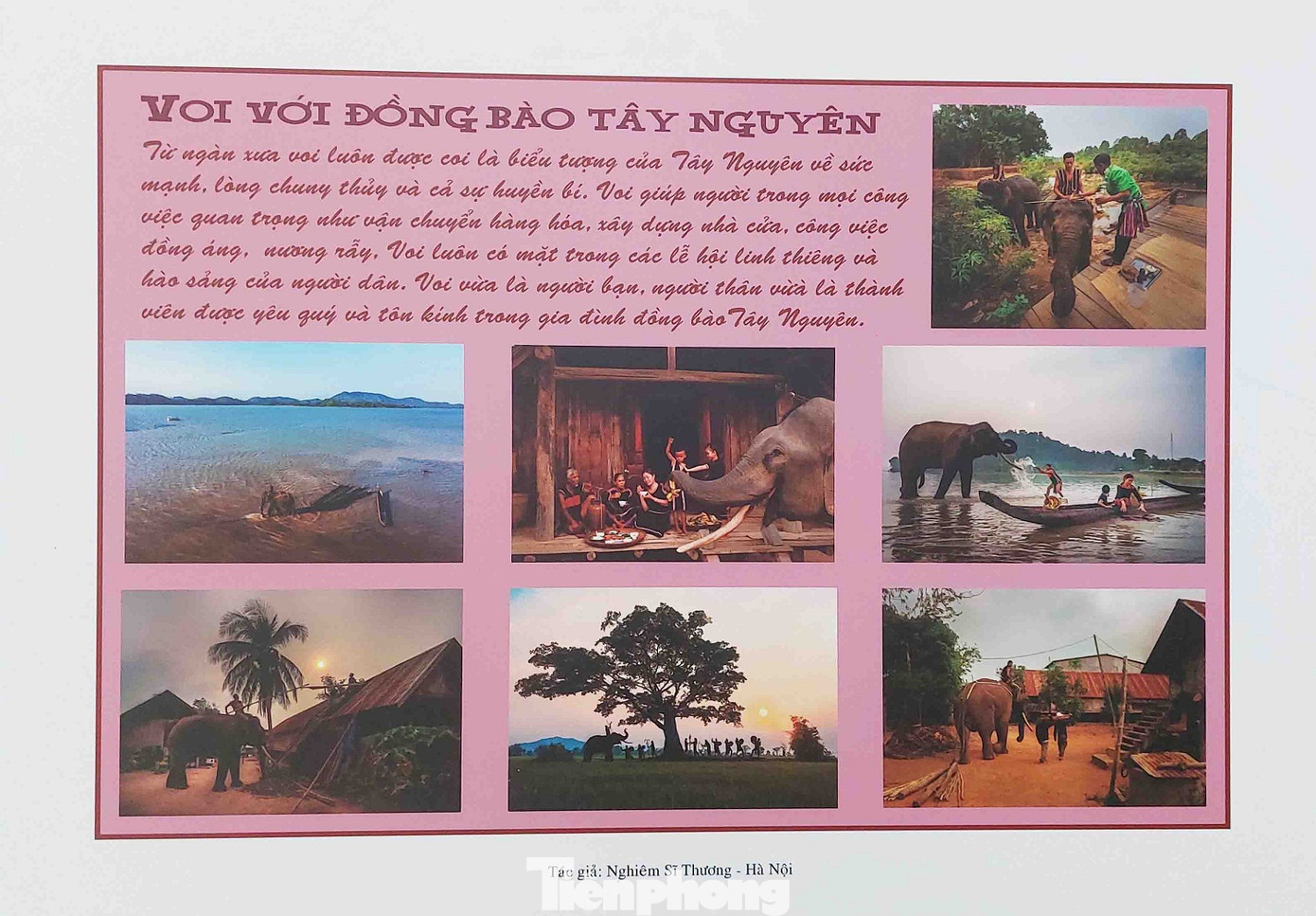 Tác phẩm Voi với đồng bào Tây Nguyên