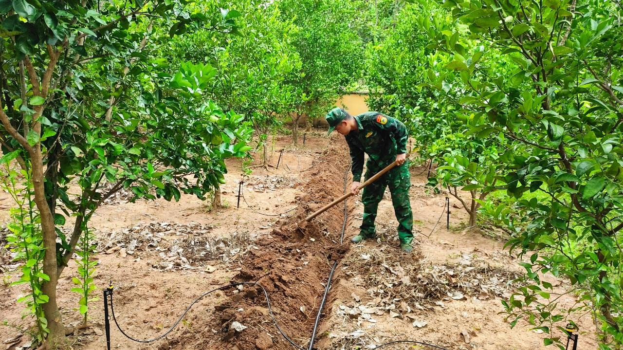 Hệ thống tưới nhỏ giọt cho vườn cây thanh niên Hệ thống tưới nhỏ giọt cho vườn cây thanh niên