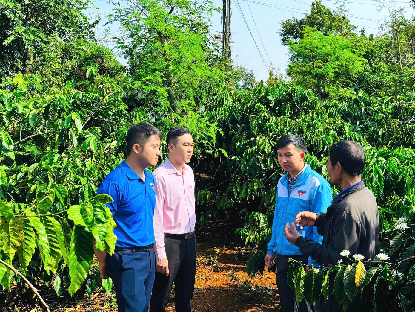 Đoàn tham quan vườn cà phê của gia đình anh Y Mi Byă