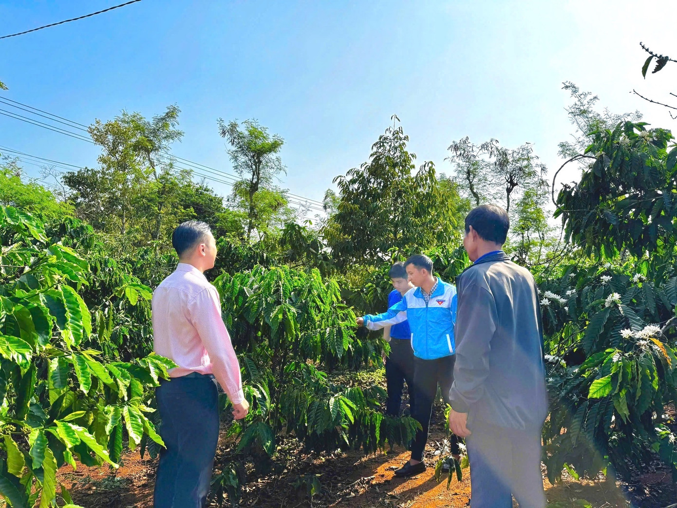 Nhiều mô hình của thanh niên phù hợp với điều kiện thực tế địa phương