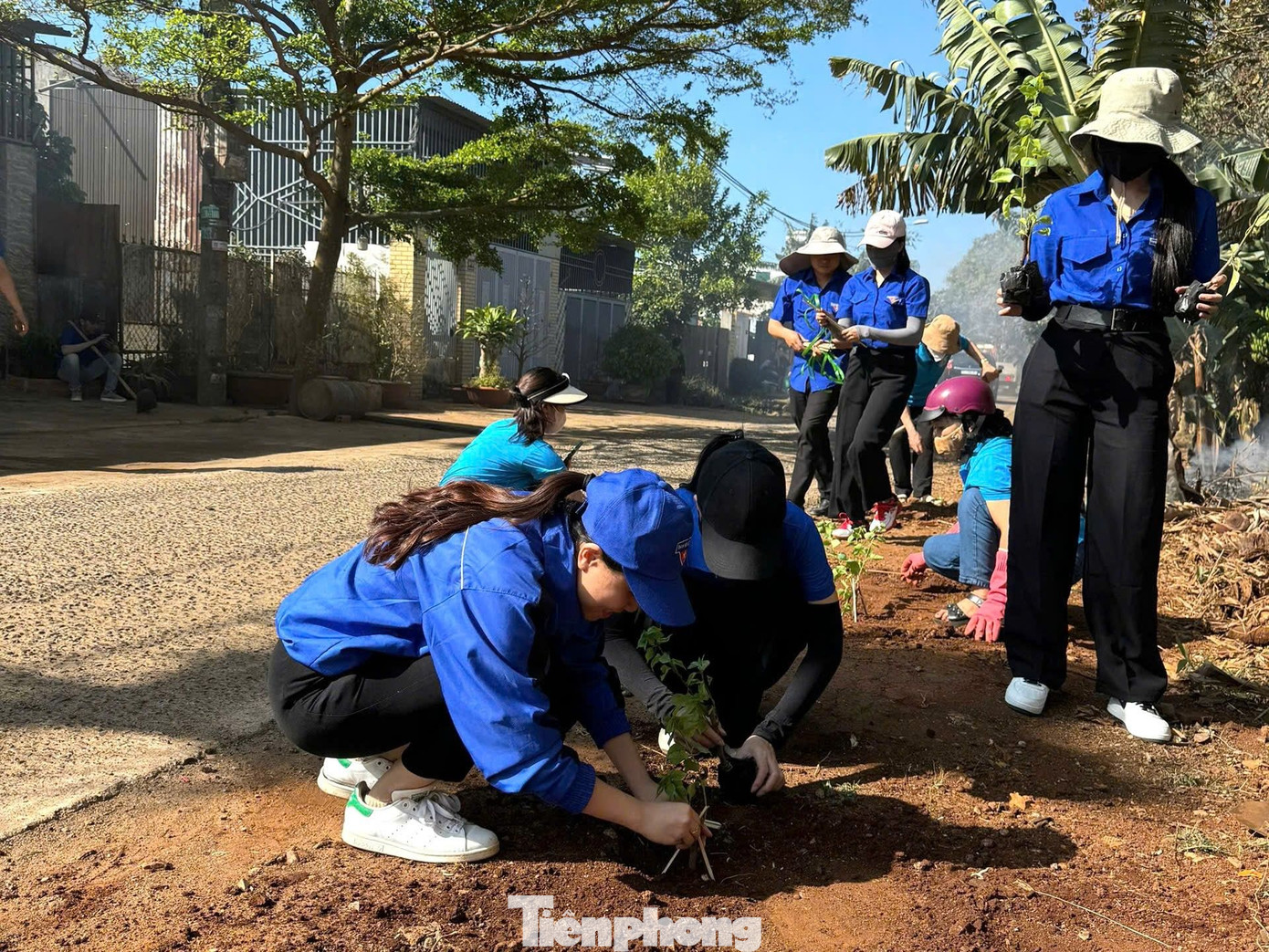 Đoàn phường Tân An tổ chức ra quân công trình thanh niên "Tuyến đường sáng - xanh - sạch - đẹp"; Hàng cây xanh thanh niên, tạo bồn và trồng 120 cây hoa giấy dọc 2 bên đường.