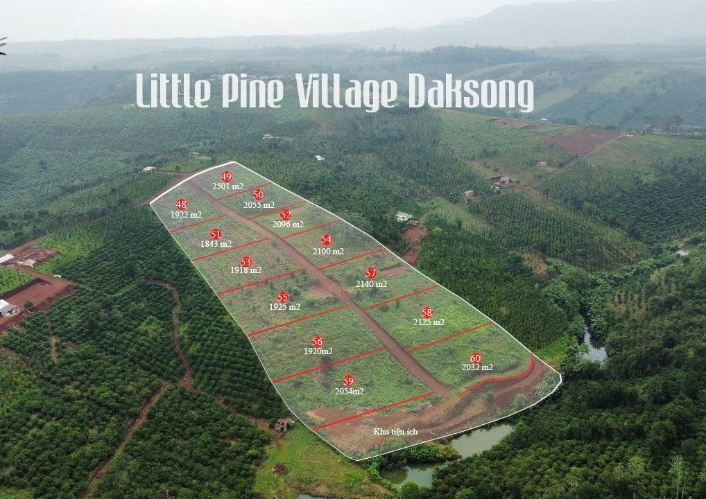 Tại Đắk Nông, nhóm nhà đầu tư do một người có nickname “Quân sư Cá mập” đã tới thôn Bong Ring, xã Nâm N’Jang, huyện Đắk Song mua đất, quảng bá rầm rộ dự án “Làng quân sư” (tên gọi khác “Làng thông non”) trên website, facebook. Dự án có quy mô 28.747m2, đất trồng cây lâu năm, thời hạn sử dụng đến 8/1/2063. Tổng vốn đầu tư dự kiến hơn 5,7 tỷ đồng.