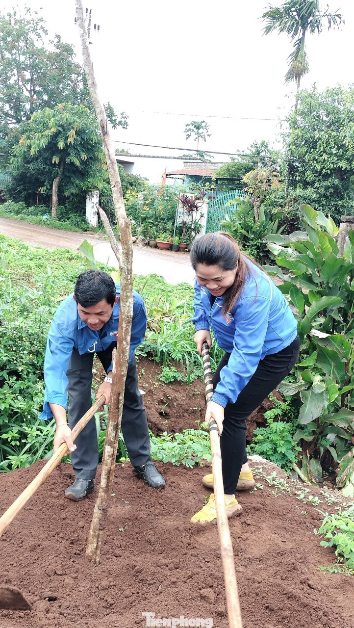Huyện Đoàn Krông Búk thực hiện công trình thanh niên trồng cây giáng hương trên tuyến đường